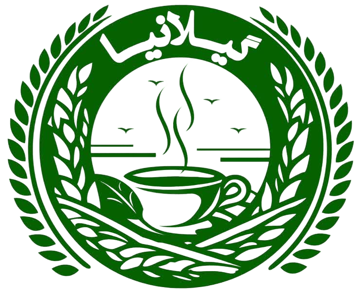 فروشگاه گیلانیا